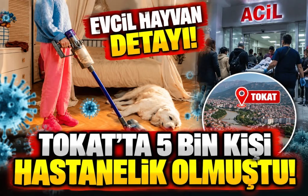 Tokat’ta 5 bin kişi hastanelik olmuştu! Evcil hayvan detayı! Norovirüs nedir? 