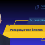 LÜTFÜ ŞAHSUVAROĞLU