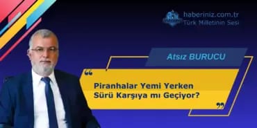 Piranhalar Yemi Yerken Sürü Karşıya mı Geçiyor