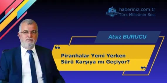 Piranhalar Yemi Yerken Sürü Karşıya mı Geçiyor?