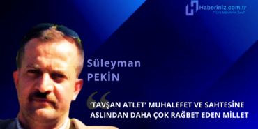 Yazar Kapak