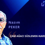 NAZIM PEKER