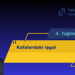 A. YAĞMUR TUNALI