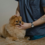 1 haberiniz.com.tr_2