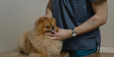 1 haberiniz.com.tr_2