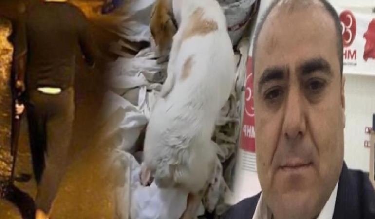 MHP’li başkan, köpek vurdu: Sahibini tehdit etti