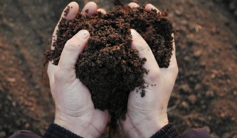 DMM’den “gübre ve gıda krizi” haberlerine açıklama