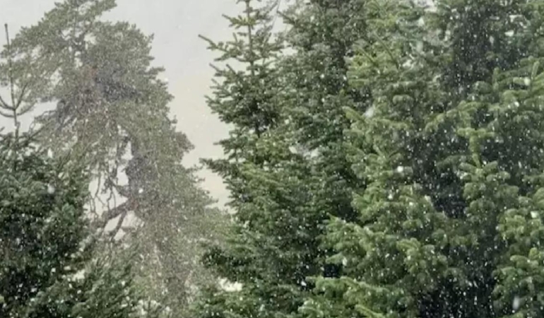 İstanbul’un yanıbaşında lapa lapa kar yağdı