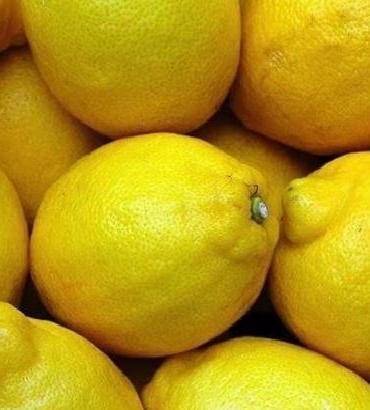 limonda-gumruk-vergisi-yeniden-duzenlendi-J38TRlza.jpg