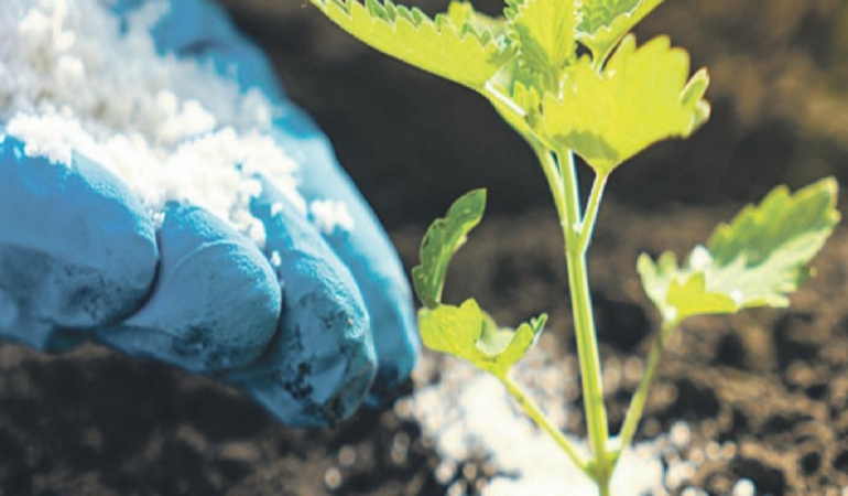 Orta Doğu’daki savaş gübre piyasasını vurdu: Fiyatlar hızla yükseliyor