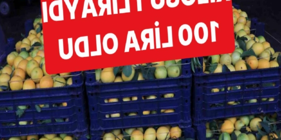 plansiz-uretim-sonucunda-limonun-kilosu-iki-yilda-1-liradan-100-liraya-geldi-7KHC8WBi.jpg