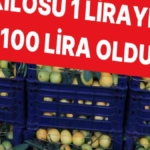 plansiz-uretim-sonucunda-limonun-kilosu-iki-yilda-1-liradan-100-liraya-geldi-7KHC8WBi.jpg