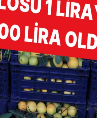 plansiz-uretim-sonucunda-limonun-kilosu-iki-yilda-1-liradan-100-liraya-geldi-7KHC8WBi.jpg