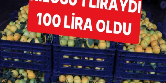 plansiz-uretim-sonucunda-limonun-kilosu-iki-yilda-1-liradan-100-liraya-geldi-7KHC8WBi.jpg