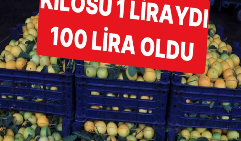 plansiz-uretim-sonucunda-limonun-kilosu-iki-yilda-1-liradan-100-liraya-geldi-7KHC8WBi.jpg