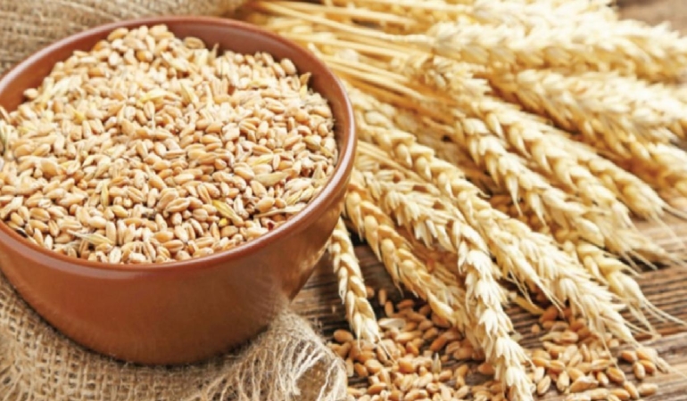 Savaş ve kuraklık etkisi buğday fiyatlarını hareketlendirdi