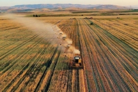 tarimda-planli-uretime-destek-mazotun-tamami-odenecek-WeEKmUqZ.jpg