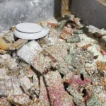 0x0-son-dakika-hatayda-kotu-koku-ekipleri-alarma-gecirdi-kacak-imalathanede-mide-bulandiran-manzara-1776579541771