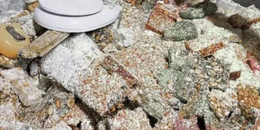 0x0-son-dakika-hatayda-kotu-koku-ekipleri-alarma-gecirdi-kacak-imalathanede-mide-bulandiran-manzara-1776579541771