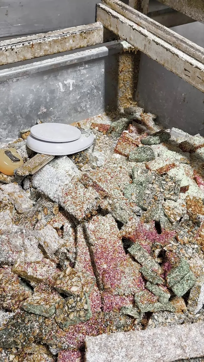 0x0-son-dakika-hatayda-kotu-koku-ekipleri-alarma-gecirdi-kacak-imalathanede-mide-bulandiran-manzara-1776579541771