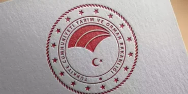 69d7776dce3eb91b24a1578c