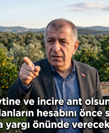 Gemini_Generated_Image_zcizx9zcizx9zciz