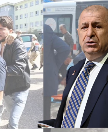 Ümit Özdağ, tohum