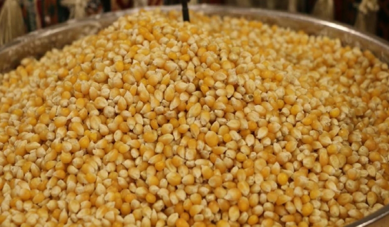 Güneydoğu Anadolu’dan 871 milyon dolarlık hububat ihracatı