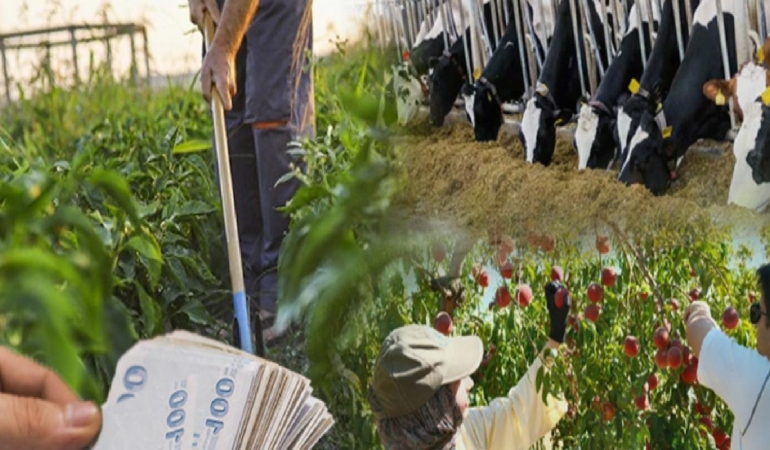 Köye dönüşte yeni model: Maaşlı çiftçilik… Hedef 40 bin genç