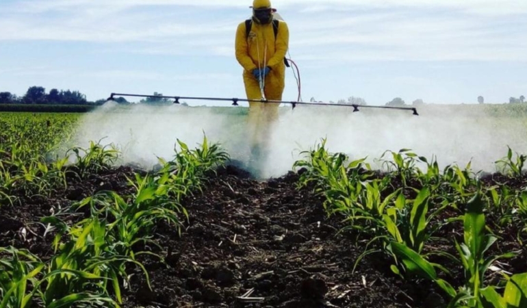 pestisit-maruziyeti-buyuyur-kanser-riski-yuzde-150ye-kadar-yukseliyor-p6JVFqeG.jpg