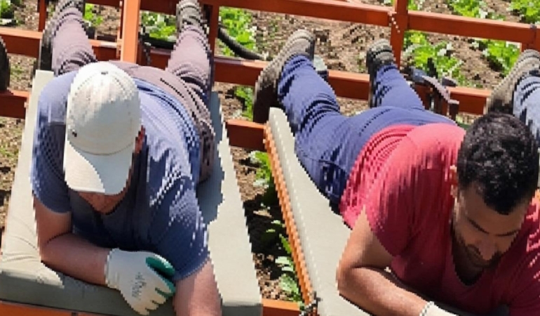 Yüzüstü yatarak para kazanıyorlar