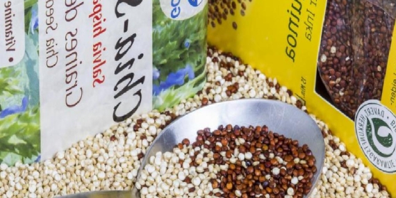 Almanya’da organik gıdalara ilgi giderek artıyor