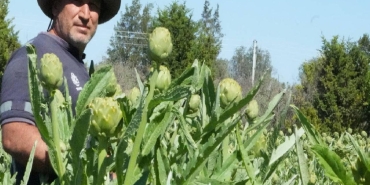 aydinin-yesil-altini-icin-600-km-yol-katediyorlar-eDaFbwRx.jpg
