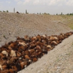 gun-agardi-facia-net-goruldu-boyle-bir-sey-olacagini-bilemedik-l67hw29f.jpg