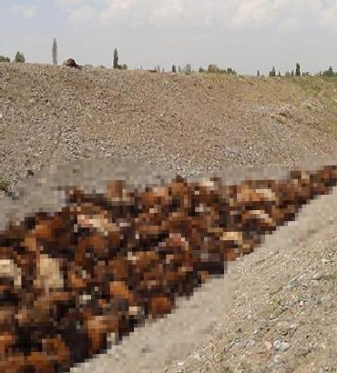 gun-agardi-facia-net-goruldu-boyle-bir-sey-olacagini-bilemedik-l67hw29f.jpg