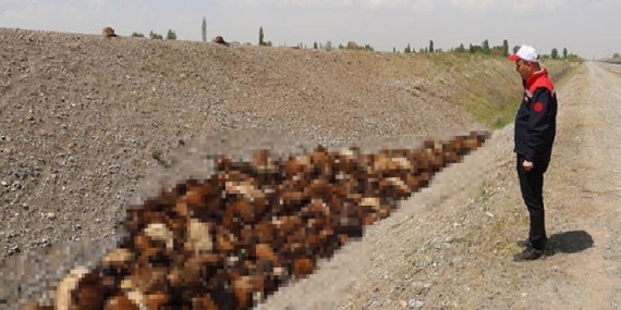 Gün ağardı, facia net görüldü: Böyle bir şey olacağını bilemedik
