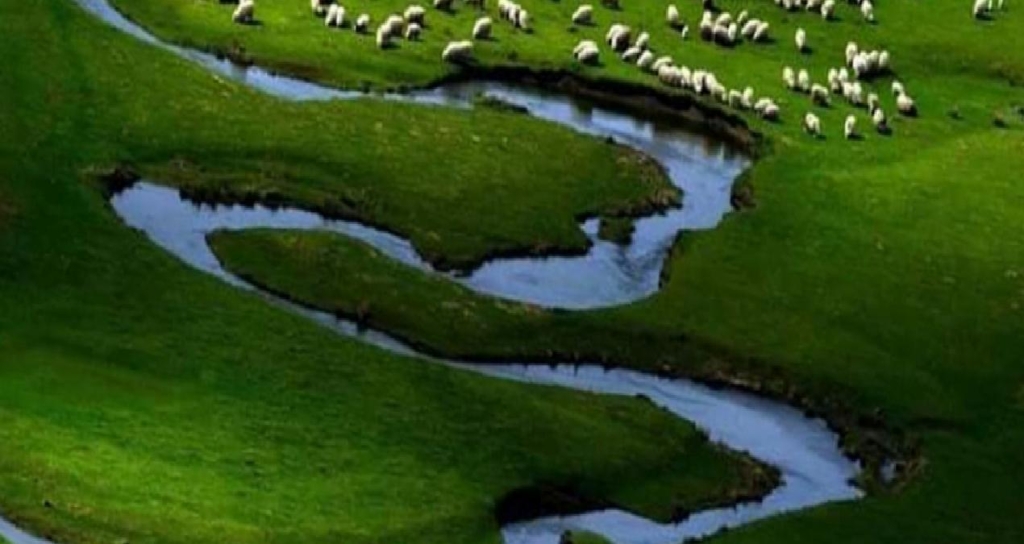 featured