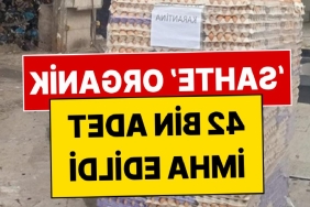 yumurtada-akilalmaz-hile-42-bin-adet-imha-edildi-3b86BIDx.jpg