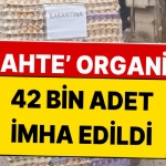 yumurtada-akilalmaz-hile-42-bin-adet-imha-edildi-3b86BIDx.jpg