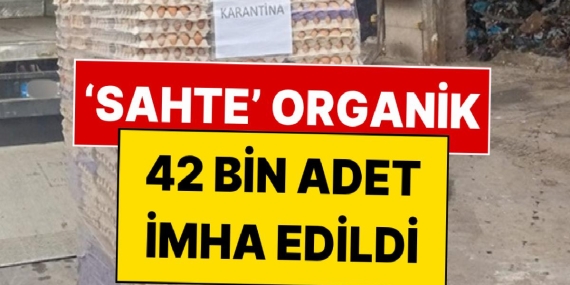 yumurtada-akilalmaz-hile-42-bin-adet-imha-edildi-3b86BIDx.jpg