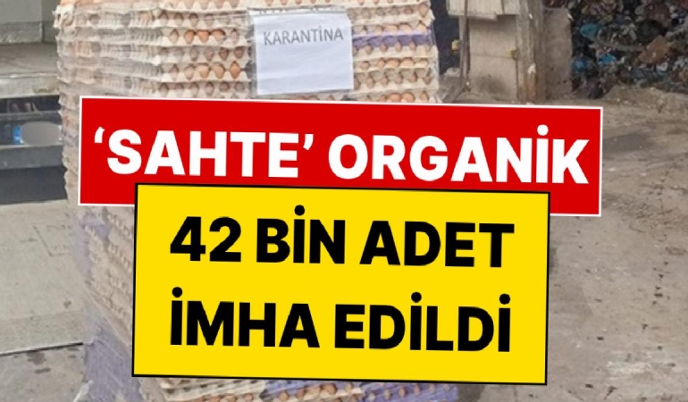 yumurtada-akilalmaz-hile-42-bin-adet-imha-edildi-3b86BIDx.jpg